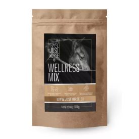 Justhorse WELLNESS MIX 1 kg