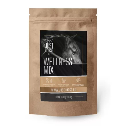 Justhorse WELLNESS MIX 1 kg